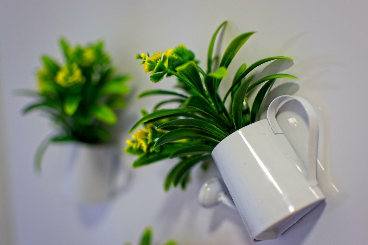 Carla Apartamentos 나자레 외부 사진